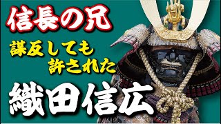 謀反しても許された、信長の兄ちゃんってどんな人？織田信広とは