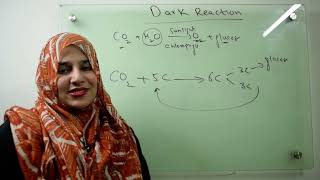 Class 9||Chp#7||Dark reaction.