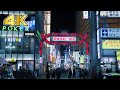 [4K] Shinjuku Kabukicho Night Walk