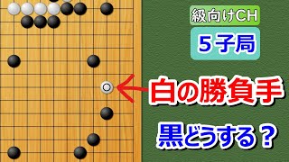 【囲碁】級向け・５子局（天元の石をフル活用の一局！）