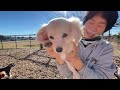 ペットホテル x 犬のしつけ　2022.01.07