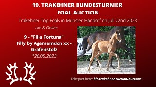 9 - Filia Fortuna - filly by Agamemdon xx - Grafenstolz *20.05.2023