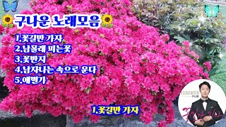 🍁🌻구나운노래모음🌻꽃미남가수 꽃돌이가수 명품가수 트로트가수