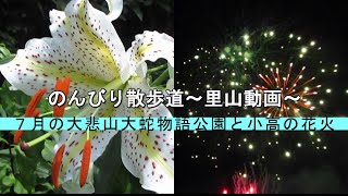 のんびり散歩道～里山動画～　７月の大悲山大蛇物語公園と小高の花火