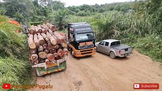 Kumpulan lorry muat kayu balak