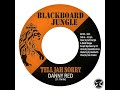 danny red – tell jah sorry dub 7