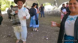 Recalentado De Boda De Abel Y Jessica Y Unos Gritos De Alegría 😂 🙌