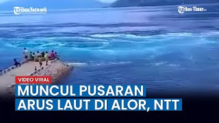Video Viral Muncul Pusaran Arus Laut di Alor, NTT, Ini Penjelasannya