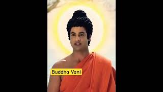 🕉️🙏♥️Buddha Vani #buddhasays buddhism | buddha story