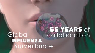 WHO: Global Influenza Surveillance, 65 Years of Collaboration