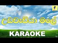 Udawadiya Male - Sangeethe Teledrama Song Karaoke Without Voice
