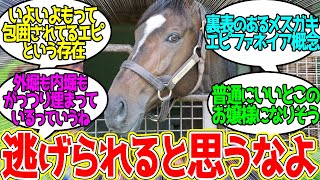 エピファネイア ← お前も可愛くなるんだぞ…に対するみんなの反応！【競馬 の反応集】