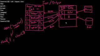 LS37.1 - Input/Output Introduction