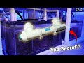 How To Set Up A Reef Tank Filter!