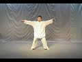 tai chi chuan chen hun yuan chen zhonghua 12 form hun yuan qigong