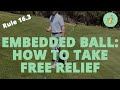 EMBEDDED BALL: What are the Rules? - Golf Rules Explained