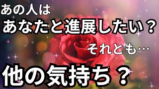 あの人はあなたと進展したい？それとも別の感情？本心🩷🫨恋愛タロット占い ルノルマン オラクルカード 細密リーディング