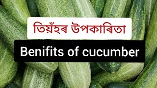 Benifits of cucumber || তিয়ঁহৰ উপকাৰিতা || তিয়ঁহত কি কি ভিটামিন পোৱা যায় ?