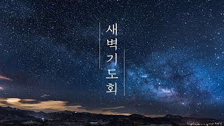 새벽기도회ㅣ2025.2.19.