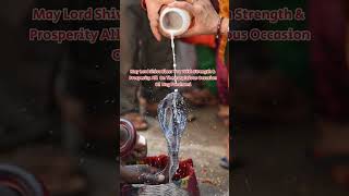 Nag Panchami Status || #9august2024 #nagpanchami #nagpuri_status