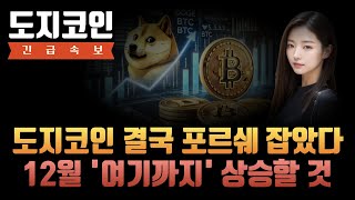 [도지코인 전망] 도지코인 결국엔 포르쉐까지 잡았다 12월엔 여기까지 상승해 줄 것