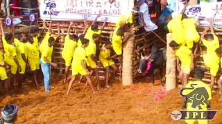 Vignesh vallam jallikattu 2018