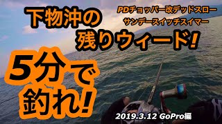 【5分で釣れ！】下物沖の残りウィード！