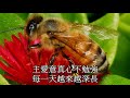 罪得釋放 mighty to save. eva liu and fai cheng karaoke hd1080p