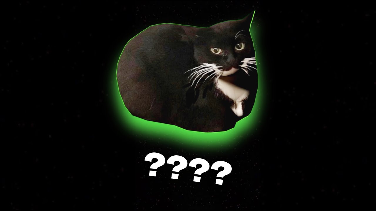 7 Maxwell The Cat Sound Variations In 84 Seconds Youtube