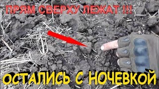 НАШЛИ МЕСТО, ГДЕ ОДИНОКИЙ ХУТОР СТОЯЛ, А ТАМ... Кладоискатели - Украина! (Коп монет 2017).