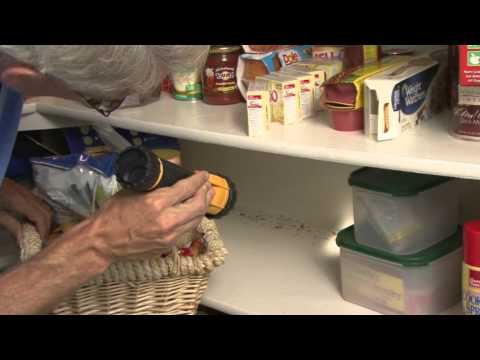 How to Find Mice and Rodents in Your House How to Find Mice and Rodents in Your House