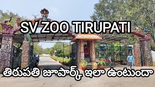 SV ZOO PARK TIRUPATI | Tirupati Zoo Park | Sri Venkateswara Zoological Park Tirupati | Lion Safari