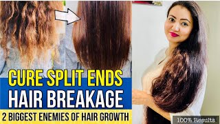 दो मुहें बाल Splits Ends की Problem को हमेशा के लिए खत्म करें | 100% Split Ends Treatment At Home