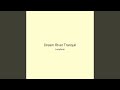 Dream River Tranquil