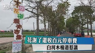 花謝了還收百元停車費　白河木棉道惹議