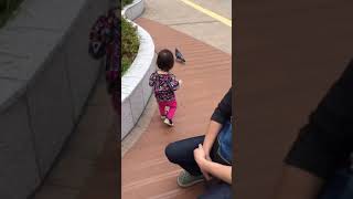 【爆笑】鳩に遊ばれる１歳児　可愛すぎる子育て動画#shorts