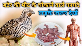 बटेर खाने से पुरुषों मे होता हैं आश्चर्यजनक फायदे || Bater khane ke fayde || quail meat recipe