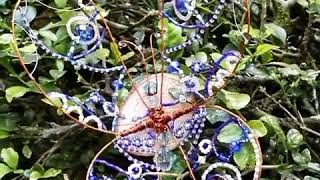 Mariposa Cristales Azules video