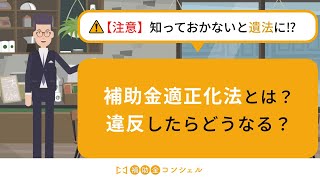 【注意】知っておかないとい違法に⁉補助金適正化法とは？違反したらどうなる？