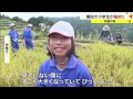 「この原風景を目に焼き付けて…」日本の棚田百選・小山の棚田で地元の小学生が稲刈り体験【岡山・美咲町】 23 09 27 18 00