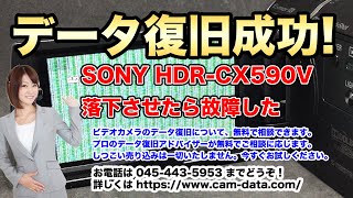 【ハンディカム液晶が緑色の砂嵐】SONY HDR-CX590V