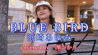 BLUE BIRD /浜崎あゆみ covered by《一華ひかり》 @ichikahikari