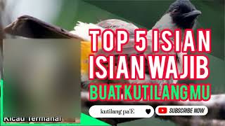 Download Lagu TOP 5 ISIAN WAJIB UNTUK BURUNG KUTILANG BAHAN ATAU... MP3 Gratis