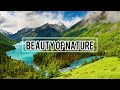 Beauty of God's Creation| Nature| Full HD Video