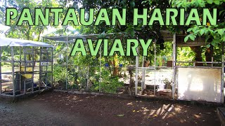 Pantauan Harian Aviary | Senin, 18 November 2024