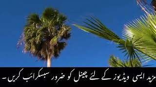 Muth Marnay ka asal Tareeqa | Muth Kaise Maren