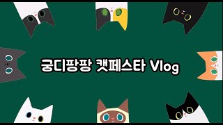 [빌리브동물병원] 동물병원에서 근무하는 집사의 궁디팡팡캣페스타 vlog