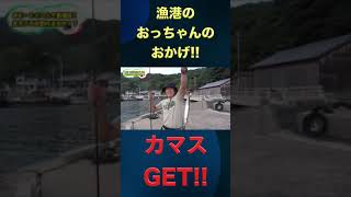 漁港のおっちゃんの情報は大事！！#shorts【釣りよか切り抜き】