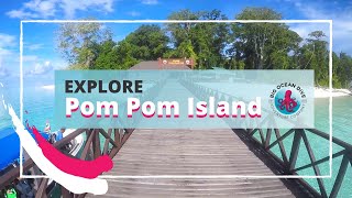 Explore: Pom Pom Island - Big Ocean Dive