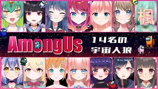 【#Amongus】14人全員Vtuber！大人数コラボアモアス！「ぼくわるいおおかみじゃないよ…」【#新人Vtuber /めぐしゃんぷー】